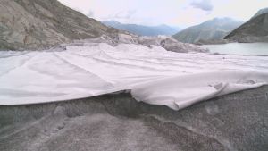 Rhôneglaciären täcks in i filtar Rhôneglaciären i Schweiz täcks in i filtar för att inte smälta
