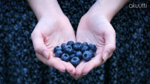 Nainen pitelee kämmenissään mustikoita.