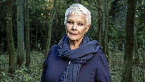 Judi Dench ja puiden neljä vuodenaikaa. Vuoden ajan kuvatussa brittidokumentissa näyttelijä Judi Dench elää puiden neljä vuodenaikaa alkaen talvesta ja päättyen syksyyn.