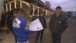 Carolina Krokvik kollar startlistan med pappa Tommy. Familjen Krokvik samlade i Seinäjoki för torsdagstrav.