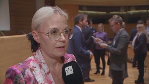 Enligt demokratiforskaren Hanna Wass har globaliseringen lett till att folket indelats i vinnare och förlorare. demokratiforskare