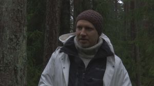 Skogsexperten Panu Kunttu vill att skogsägare ska låta sina skogar vara i fred. Panu Kunttu, skogsexpert, WWF