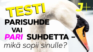 Testi: parisuhde vai pari suhdetta - mikä sopii sinulle?