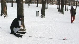 Varis virittää ansan viattomalle ohikulkijalle.