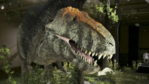 Tyrannosaurus rex on yksi maailman historian kuuluisimmista saalistajista.