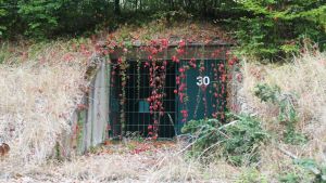 There was a Waffen-SS military area right beside Gut Hartzwalde. Before the Russians arrived, Waffen-SS troops blew up the bunkers. A bunker in Gut Harzwalde.