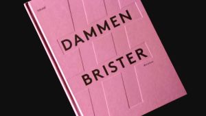 En del av vittnesmålen resulterade också i en bok som gavs ut på Förlaget M. Bokomslaget till Dammen brister