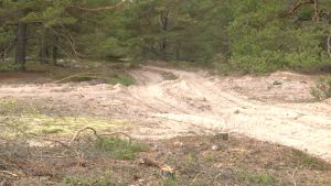 Spåren försvinner så småningom, intygar Esko Tainio från Forststyrelsen. Hjulspår på en sandstrand.