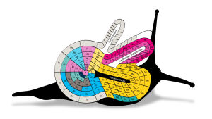 Theodore Benfeys snigelformade spiralvariant börjar med väte i botten och arbetar sig utåt. Grundämnena som idag finns i f-blocket har egna sina egna bihang, liksom även övergångsmetallerna. Periodiska systemet i form av en snigel.