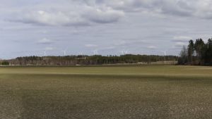 Illustration av den planerade vindkraftsparken. Åker, skog och vindkraftverk i bakgrunden.