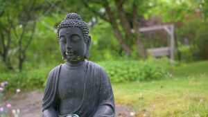 Meditativt och en smula kitschigt. Precis som en rolig trädgård ska vara enligt Karin Björklund-Rissanen. En buddhastaty i en trädgård.