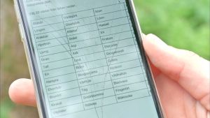 Eleverna i Hagelstamska skolan ska välja 20 av dessa 50 växter. En lista med 50 växter på en mobilskärm.