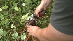 Mårdhunden ligger ofta blickstilla då den hotas och därför är pistolen ett brukbart vapen under mårdhundsjakt. Jägaren tar fram en pistol för att skjuta mårdhund.