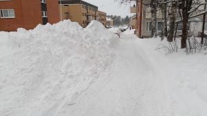 Barnen i barnpanelen minns bra hur vintern fungerar från i fjol. Först blir det kallt, sen kommer det snö. Uppifrån kommer den. Luminen katu Kajaanissa