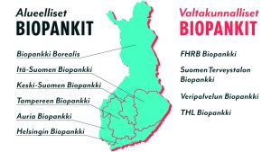 Infografiikka suomessa toimivista alueellisista ja valtakunnallisista biopankeista
