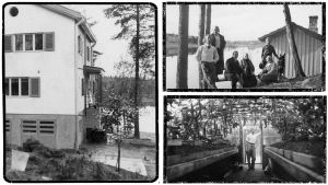 Karien kesäpaikkaan valmistui 1938 uudistettu päärakennus, josta oli tarkoitus tulla eläkepäivien koti. Puutarhurin koulutuksen saanut hengenpelastaja Elias Kari viljeli kasvihuoneessaan muun muassa kurkkuja. Oikeassa yläkulmassa Saarelassa vierailulla Greta ja Boris Sirpo sekä anoppi Anna Ollberg. Karien poika Leo oli muutamaa vuotta Heimoa vanhempi, ja soitti myös viulua. Karin perheen kesäpaikka Viipurin ulkopuolella Saarelassa.