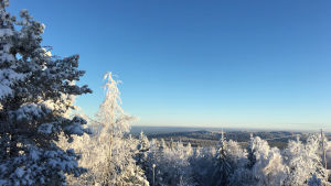 Lumista maisemaa Paltamosta. 