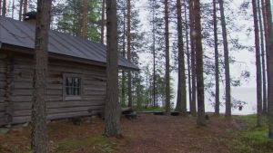 Bastu vid stranden av suomunjärvi i Patvinsuo nationalpark.