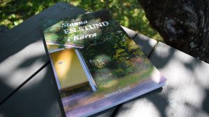 Vännerna som påstod att det inte finns något i Kärra gjorde att Kainz kände sig utmanad att bevisa det motsatta. Vilket resulterade i en bok. Boken "Stanna en stund i Kärra"
