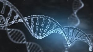 I Finngen-projektet analyseras finländarnas arvsmassa för att identifiera olika kopplingar mellan individuella genetiska olikheter och sjukdomar. En rendering av en DNA sträng som vrider sig fram.