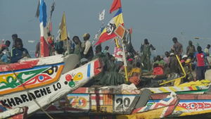 Migranter från Senegal har anlänt till Gran Canaria. Migranter från Senegal har anlänt till Gran Canaria