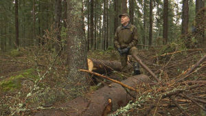 Det är något speciellt med att få gå omkring i egen skog, tycker Carl-Johan Nystedt. En man som spanar ut över sin skog.