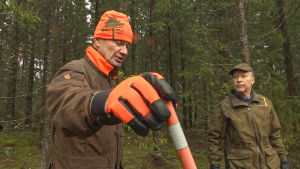Ove Simosas (till vänster) tycker Carl-Johan Nystedt tar väl hand om sin skog. Två män i skogen.