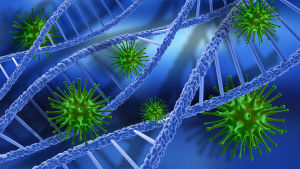Vi människor har minst 140 olika gener som är lånade från diverse virus och bakterier som har kommit i kontakt med våra tidiga förfäder under livets historia på jorden. Grafisk representation av virus och DNA.