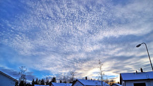 Palleropilvi eli cirrocumulus.