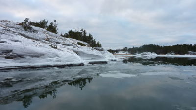 Skärgård