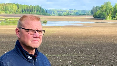 Jordbrukare Johan Cederberg i Pernå vid översvämmad åker