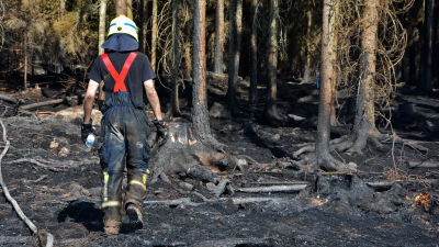 Släckning av skogsbrand i Pyhäranta i juli 2018.