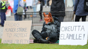 Oikeutta Eläimille under en demonstration i Helsingfors 2019. Djurrättsaktivist med rävmask sitter i en bur under en demonstration.