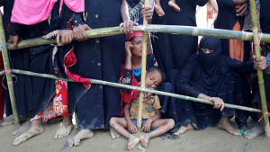 Rohingyer köar efter provianter i Cox Bazaar i Bangladesh. Rohingyer köar efter provianter i Cox Bazaar i Bangladesh.