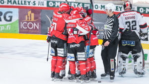 Ledningen vill se mer jubel på hemmaplan. Vasa Sport-spelare firar, hösten 2017.