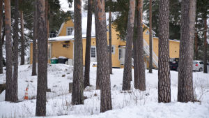 Furunäs har ett passande namn. Huset gömmer sig bakom höga furor på Näsebacken. Restaurangen Furunäs i Borgå 28.01.20
