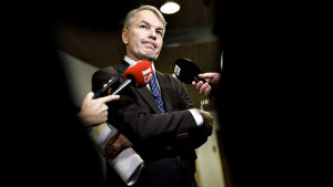 Det var efter en artikel i tidningen Ilta-Sanomat, som Pekka Haavisto fick förklara sig för Utrikesutskottet. I artikeln misstänkliggjordes Haavistos och Utrikesministeriets planer för att få hem kvinnorna och barnen från al-Hol. Ulkoministeri Pekka Haavisto ulkoasiainvaliokunnan kuultavana eduskunnassa Helsingissä 3. joulukuuta 2019. Valiokunnan ohjelmassa oli ajankohtaiskatsaus Syyrian tilanteeseen ja ulkoministeri oli kuultavana valiokunnassa.
