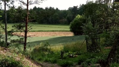 lantligt landskap