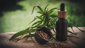 En cannabisplanta ligger på vävt tyg med en mortel av frön och en liten flaska med pipett-kork.