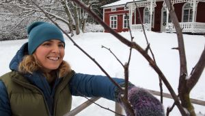 Lena Gillberg invid ungt äppelträd framför Strömsövillan
