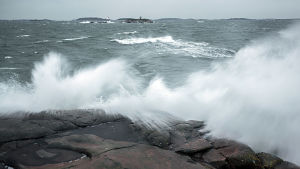 Storm utanför Hangö, en av de bästa platserna att surfa på i Finland, ibland. Vågor slår mot strandstenar i Hangö den den 10 december 2014.