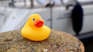 Det bor för få svenskspråkiga barnfamiljer i Störsvik för att det skulle gå att ordna med en egen svenskspråkig dagisavdelning i Störsvik, säger bland andra daghemmets föreståndare. En gul anka på en cementstolpe, segelbåtar i bakgrunden.