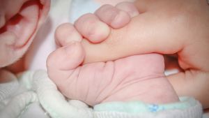 Danmark rekommenderar kemikaliefasta för gravida och nyfödda. babyhand håller i vuxen