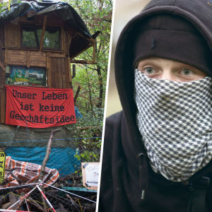 Tyska anarkisten "Hole" skyddar Hambach-skogen genom att bygga kojor högt uppe bland träden. Maskerad miljöanarkist i västra Tyskland i kollage med trädkoja och banderoll.