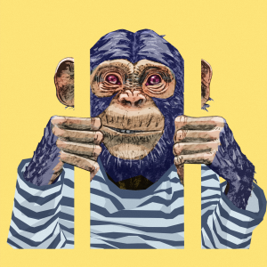 Kuvitus paitaan pukeutuneesta apinasta, joka katselee kaltereiden takaa
