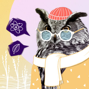 Sekatekniikka kuva, jossa pöllölle on piirretty silmälasit, pipo, kaulahuivi ja takki.