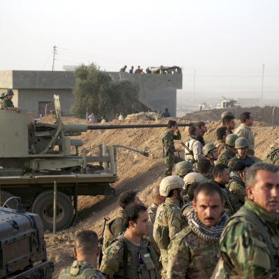 Kurdiska trupper i närheten av staden Kirkuki norra Irak