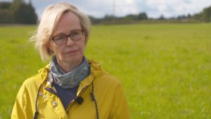 Miljöchef Liisa Pietola säger att det finns en övertro på att odlare kan kontrollera allt fullt ut. De varmare och regnigare vintrarna gör det svårare att kontrollera näringsutsläppen. Liisa Pietola är miljöchef vid MTK, Centralförbundet för lant- och skogsbruksproducenter.