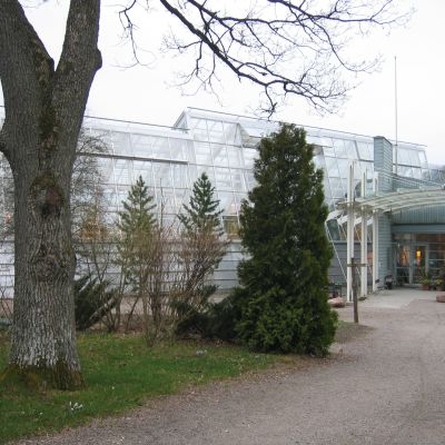 Botaniska trädgårdens växthus på Runsala.