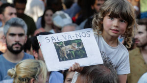 Förra året protesterade människor världen över mot bränderna i Amazonas. Ett barn som håller upp ett plakat med en jaguar på i en demonstration mot skövlingen av Amazonas regnskog.